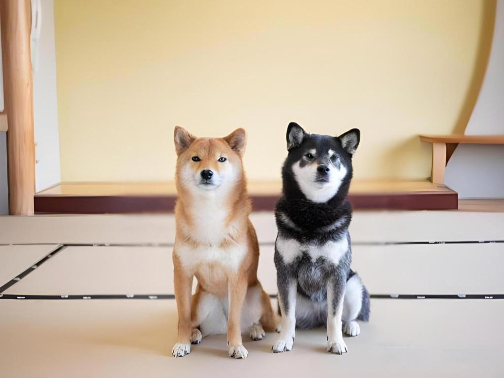 Izumigo Lake Hamanako Dog Paradise Hotel Hamamatsu Exterior photo